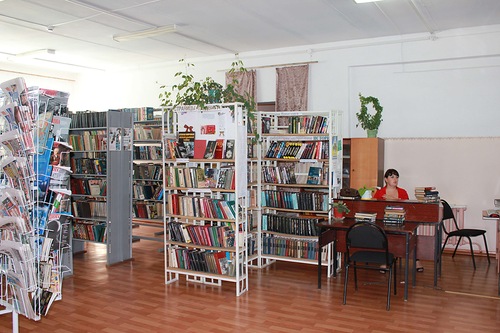 Новодевиченская сельская библиотека МУК "Шигонская МБ"